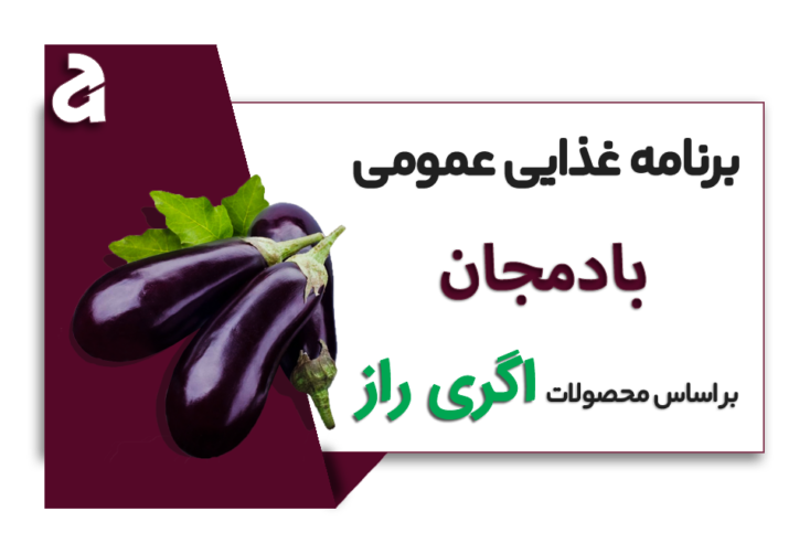 برنامه غذایی بادمجان - اگری راز