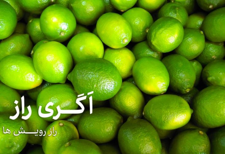 کنترل آفات لیمو ترش