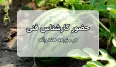 https://agriraz.com/wp-content/uploads/2024/09/کاور-مزرعه-هندوانه-116x67.webp