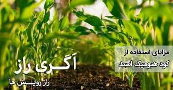 مزایای استفاده از کود هیومیک اسید