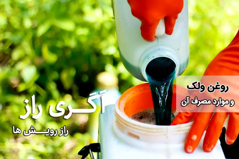 روغن ولک و موارد مصرف آن