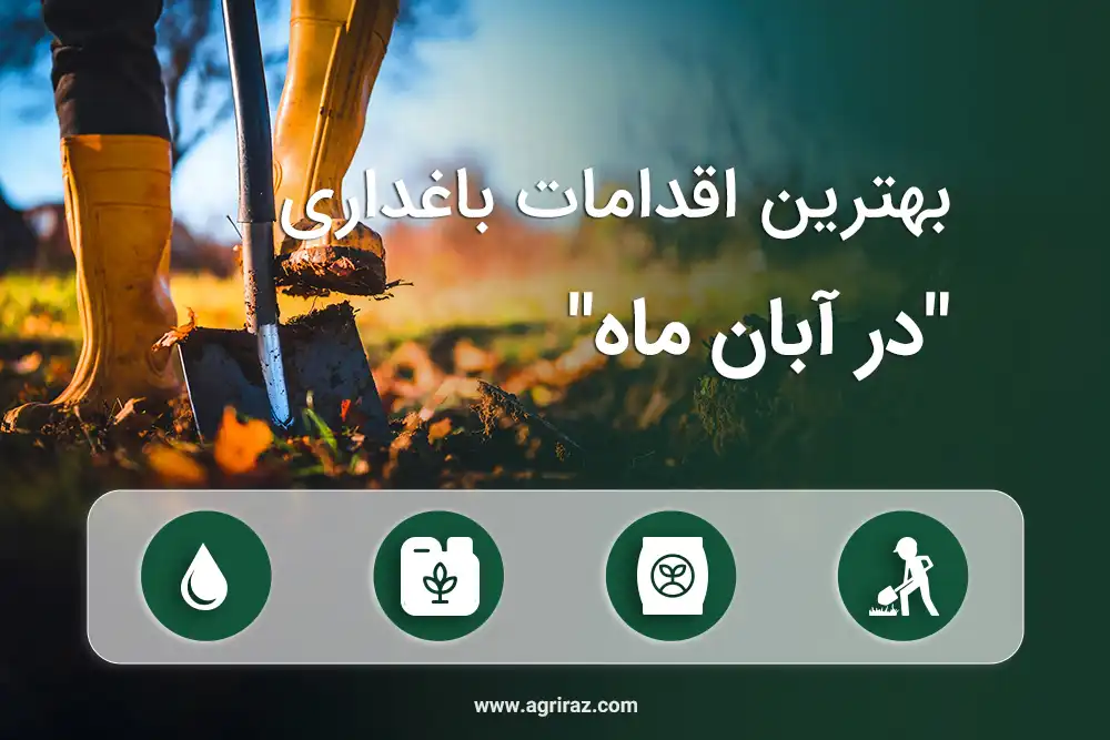 قالب اقدامات باغداری آبان ماه