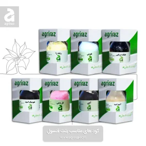 پک کودی منلسب بنت قنسول