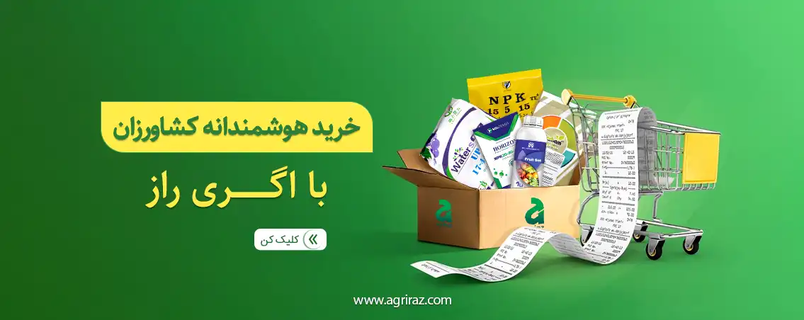 بهترین سبدکودی اگری راز