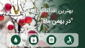 قالب اقدامات باغداری بهمن ماه - اگری راز