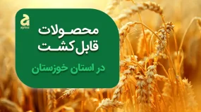 محصولات قابل کشت در استان خوزستان